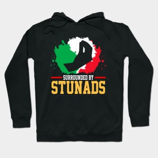 Surrounded By Stunads Hand Gesture Funny Italian Meme, funny Italian Phrases Gift Hoodie